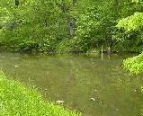 A segment of the stream on the property