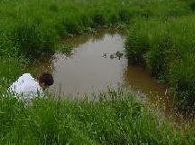 Ichthyology member performs water tests