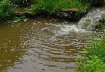 A small waterfall along the stream
