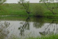 A segment of the stream reflects trees 
            along its bank