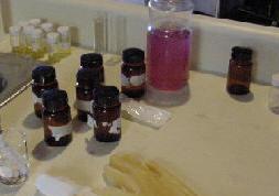 Jars used by the Ichthyology group to store water tests